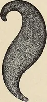 An illustration from Méthode de composition ornementale (1905)