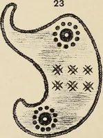 Picture 526 of 1030 from Méthode de composition ornementale (1905), leaf 237