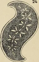 Picture 527 of 1030 from Méthode de composition ornementale (1905), leaf 237