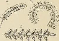 An illustration from Méthode de composition ornementale (1905)