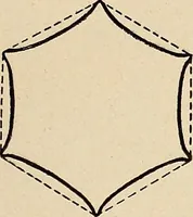 An illustration from Méthode de composition ornementale (1905)