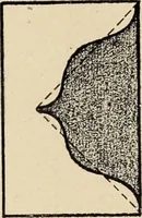 An illustration from Méthode de composition ornementale (1905)