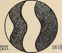 Picture 53 of 1030 from Méthode de composition ornementale (1905), leaf 34