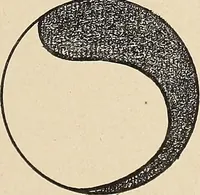 An illustration from Méthode de composition ornementale (1905)