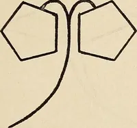 An illustration from Méthode de composition ornementale (1905)