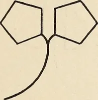 An illustration from Méthode de composition ornementale (1905)
