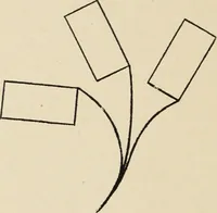 An illustration from Méthode de composition ornementale (1905)