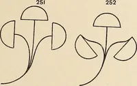 An illustration from Méthode de composition ornementale (1905)