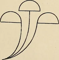 An illustration from Méthode de composition ornementale (1905)