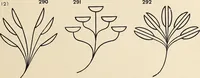 An illustration from Méthode de composition ornementale (1905)