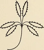 An illustration from Méthode de composition ornementale (1905)