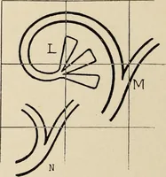 An illustration from Méthode de composition ornementale (1905)