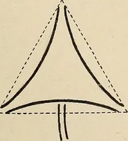 An illustration from Méthode de composition ornementale (1905)