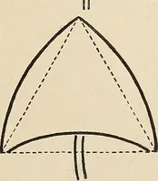 An illustration from Méthode de composition ornementale (1905)