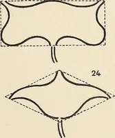 An illustration from Méthode de composition ornementale (1905)