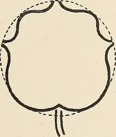 An illustration from Méthode de composition ornementale (1905)