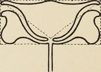 An illustration from Méthode de composition ornementale (1905)