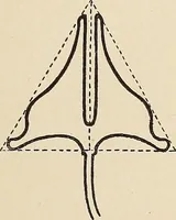 An illustration from Méthode de composition ornementale (1905)