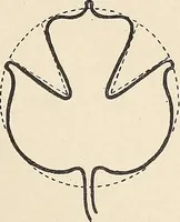An illustration from Méthode de composition ornementale (1905)