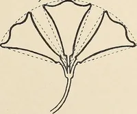 An illustration from Méthode de composition ornementale (1905)