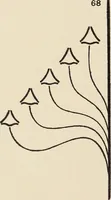 An illustration from Méthode de composition ornementale (1905)