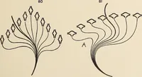 An illustration from Méthode de composition ornementale (1905)