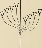 An illustration from Méthode de composition ornementale (1905)