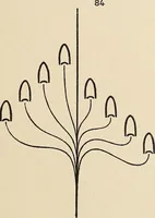An illustration from Méthode de composition ornementale (1905)