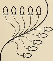 An illustration from Méthode de composition ornementale (1905)