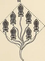 An illustration from Méthode de composition ornementale (1905)