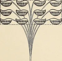An illustration from Méthode de composition ornementale (1905)