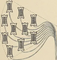 An illustration from Méthode de composition ornementale (1905)