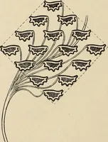 An illustration from Méthode de composition ornementale (1905)