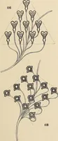 An illustration from Méthode de composition ornementale (1905)