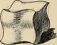 An illustration from Méthode de composition ornementale (1905)