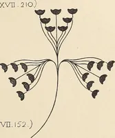 An illustration from Méthode de composition ornementale (1905)