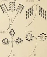 An illustration from Méthode de composition ornementale (1905)