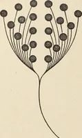 An illustration from Méthode de composition ornementale (1905)