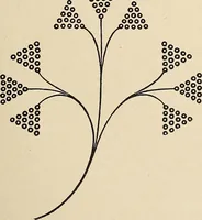 An illustration from Méthode de composition ornementale (1905)