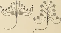 An illustration from Méthode de composition ornementale (1905)