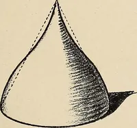 Picture 80 of 1030 from Méthode de composition ornementale (1905), leaf 42