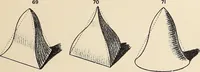 An illustration from Méthode de composition ornementale (1905)