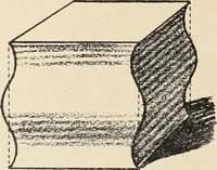 An illustration from Méthode de composition ornementale (1905)