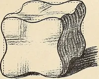 An illustration from Méthode de composition ornementale (1905)