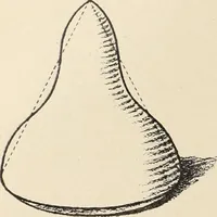 An illustration from Méthode de composition ornementale (1905)