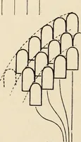 An illustration from Méthode de composition ornementale (1905)