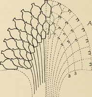 An illustration from Méthode de composition ornementale (1905)
