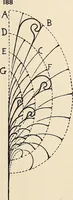 An illustration from Méthode de composition ornementale (1905)