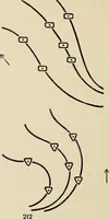 An illustration from Méthode de composition ornementale (1905)