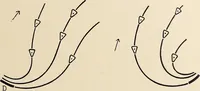 An illustration from Méthode de composition ornementale (1905)